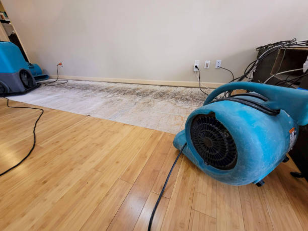 Professional Water Damage Repair technician working in Langhorne, PA